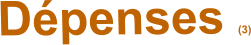 Dépenses (3)