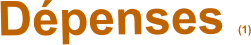 Dépenses (1)